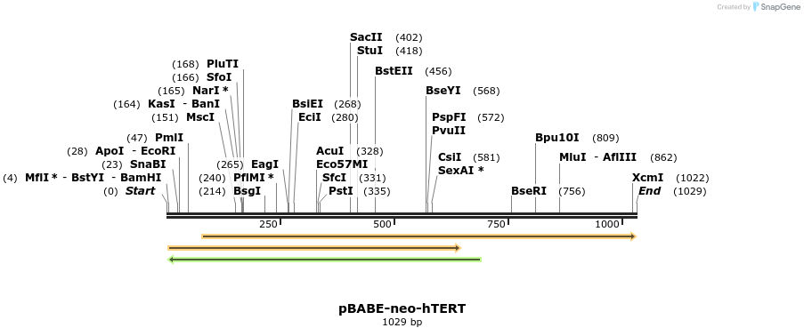 80529_map