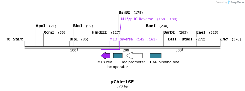 80531_map
