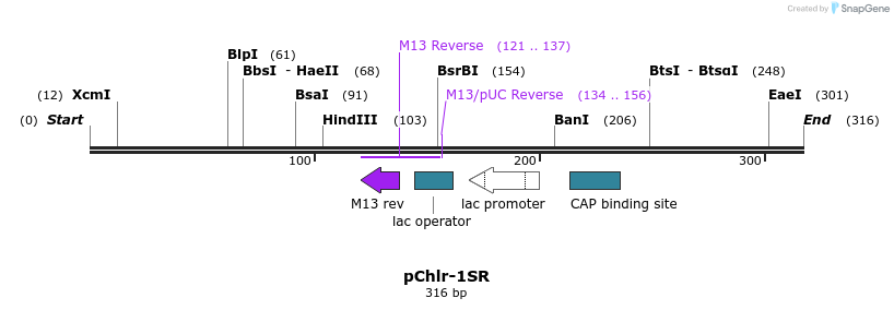 80533_map