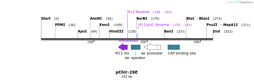 80536_map