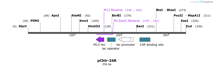 80538_map