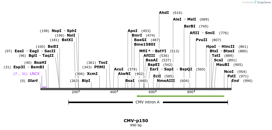 80550_map