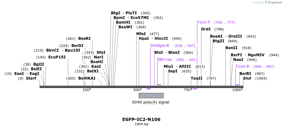 80551_map