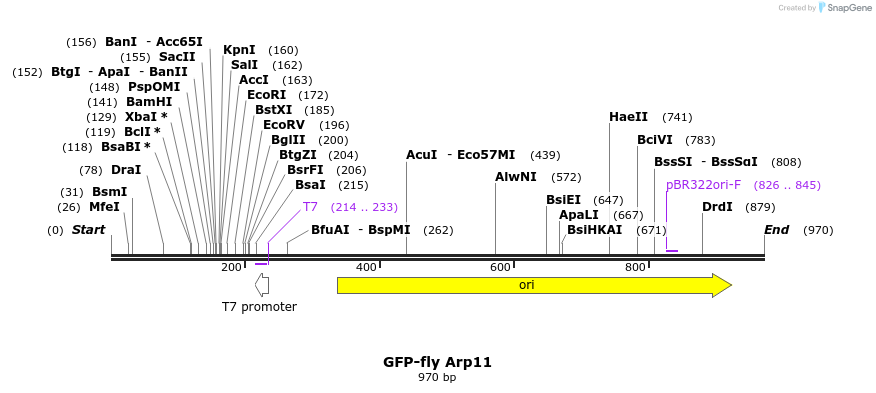 80553_map