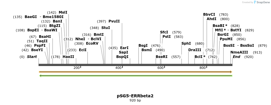 80554_map