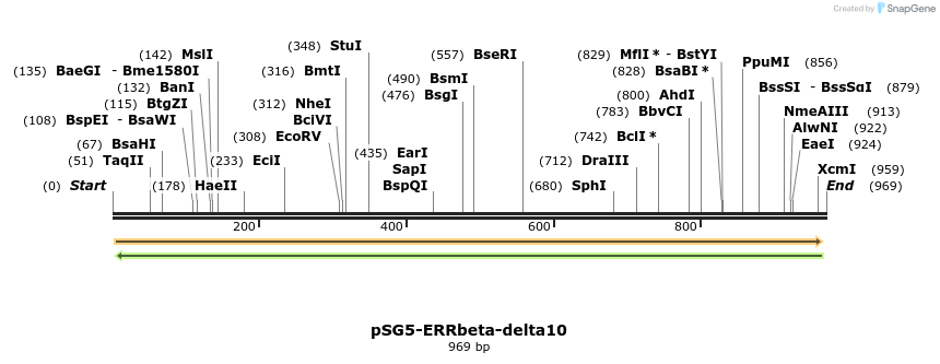 80557_map