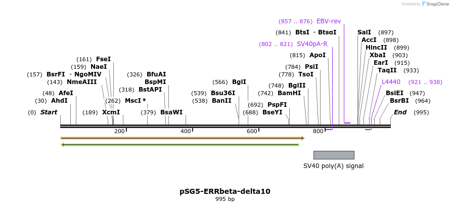 80558_map