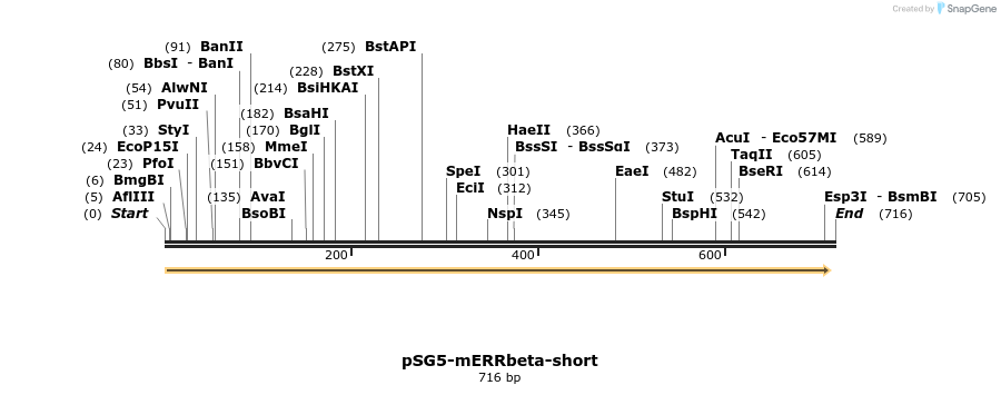 80568_map