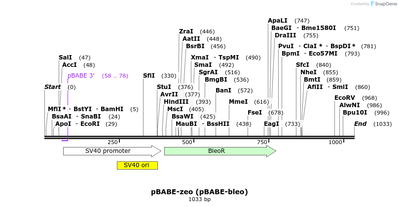 80570_map