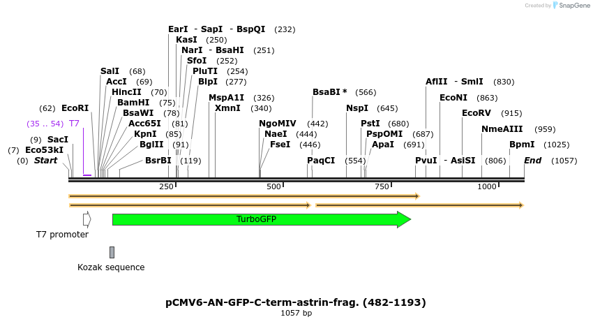 80576_map