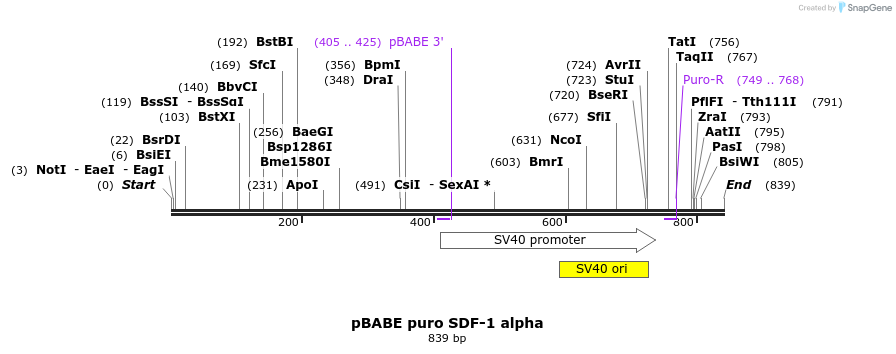 80581_map