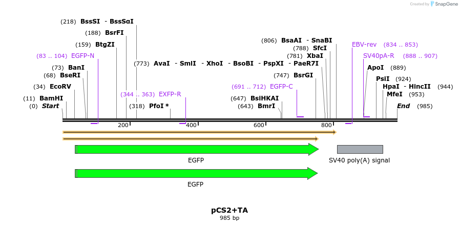 80583_map