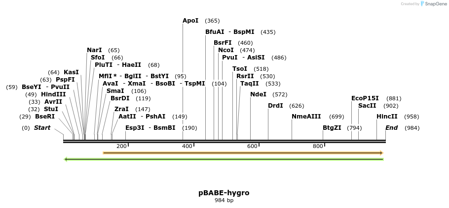 80586_map