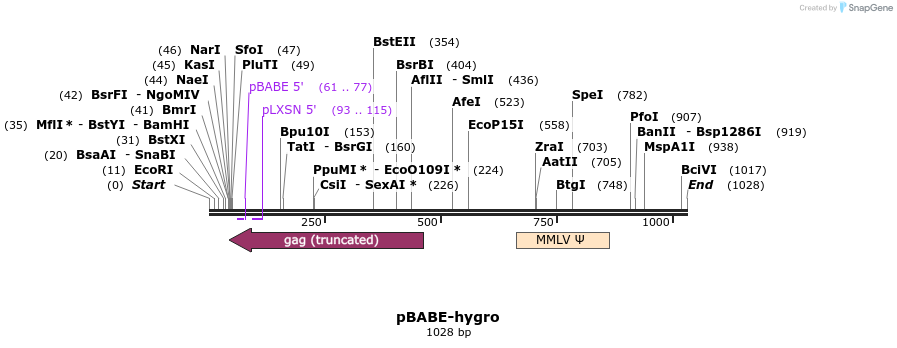 80588_map