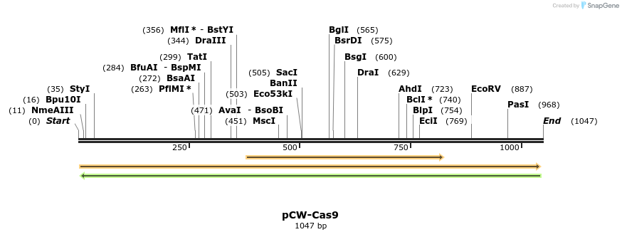 80595_map