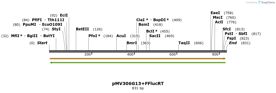 80610_map