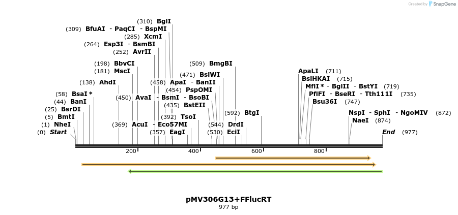 80611_map