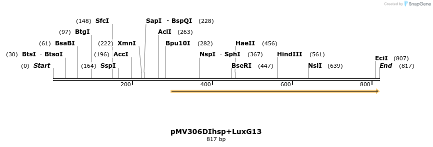 80617_map