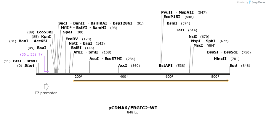 80633_map