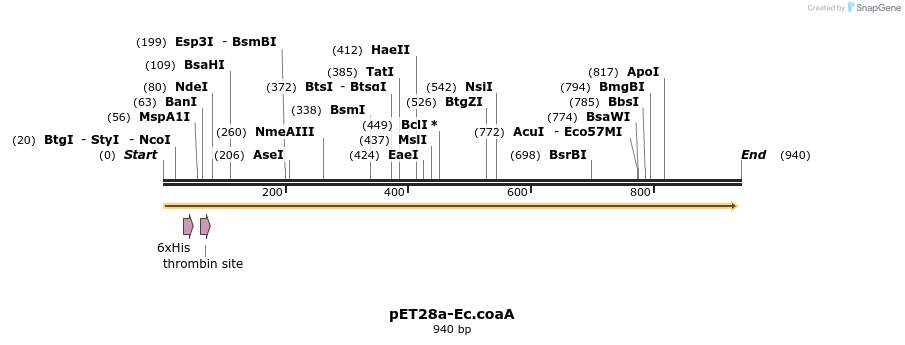 80634_map