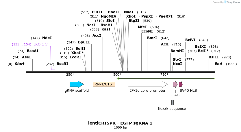 80637_map