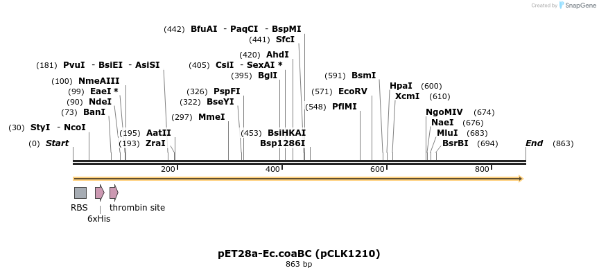 80638_map