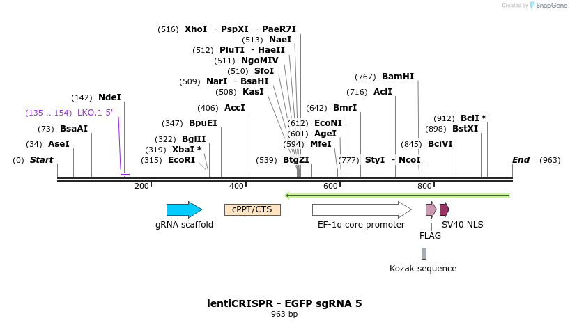 80639_map
