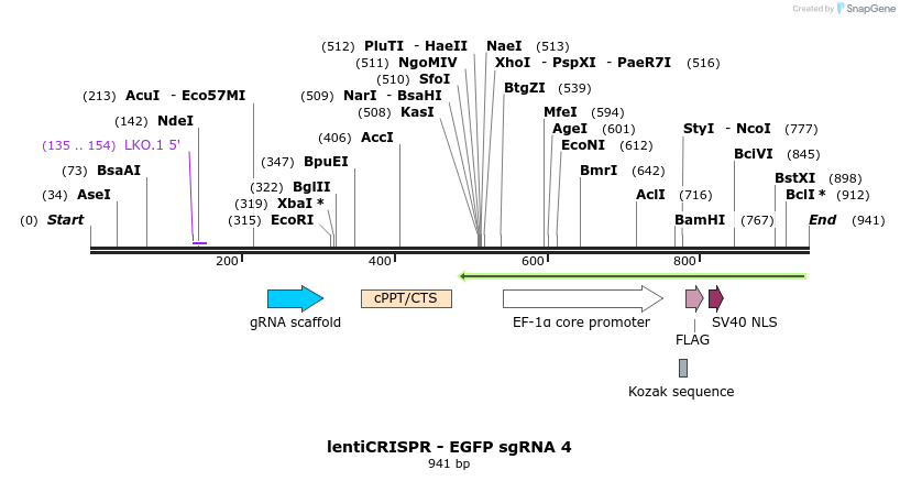 80640_map