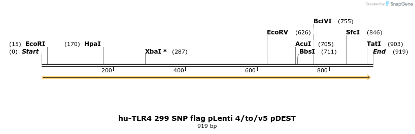 80641_map