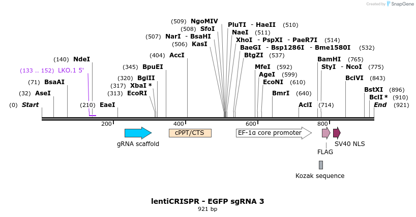 80642_map