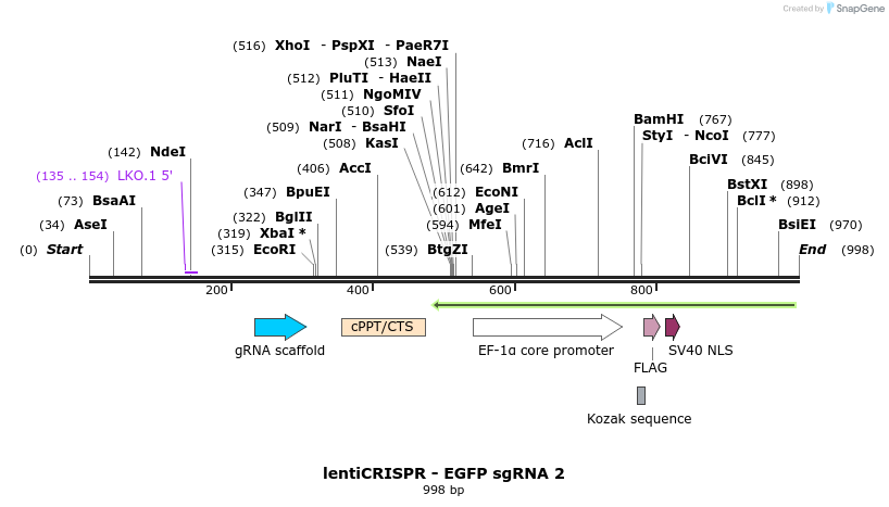80644_map