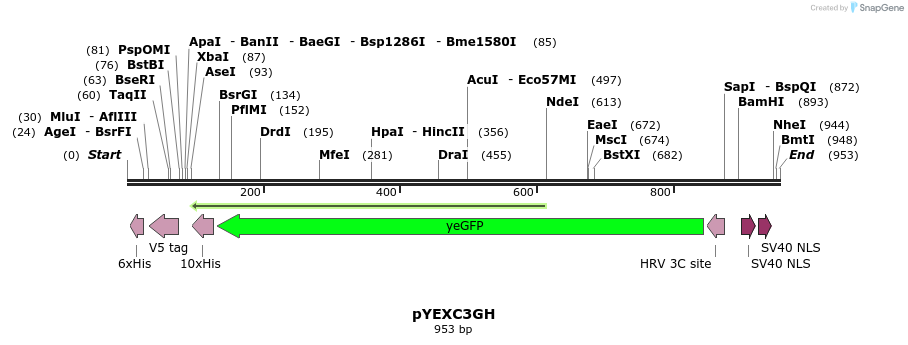 80657_map