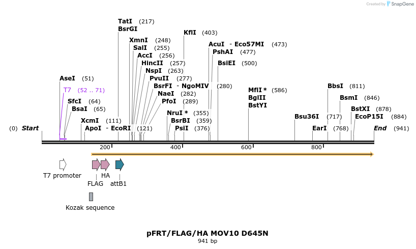 80660_map