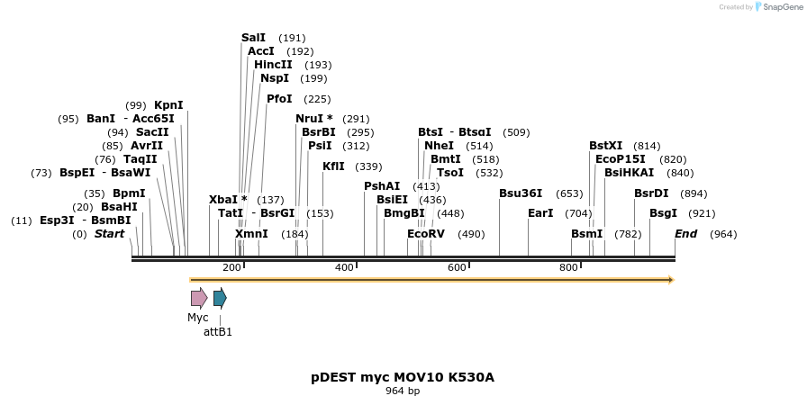 80663_map