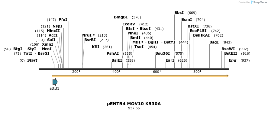 80664_map