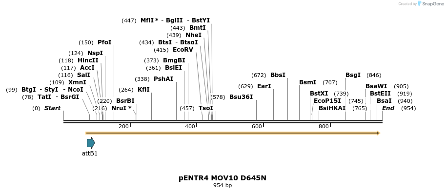 80665_map
