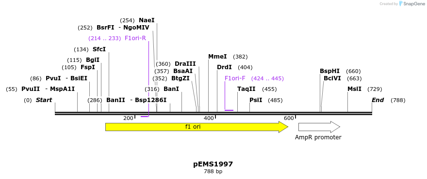80666_map
