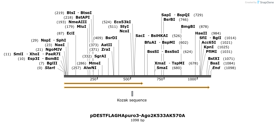 80672_map