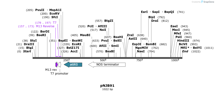 80673_map