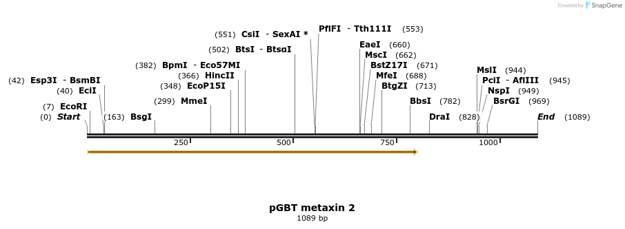 80677_map