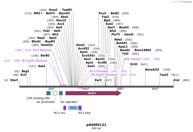 80684_map