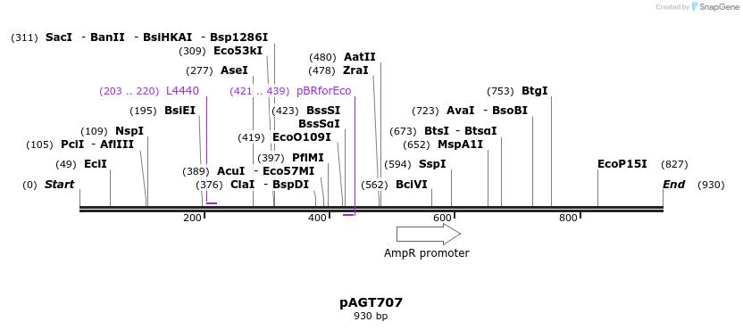 80685_map