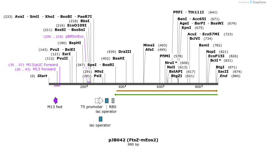 80692_map