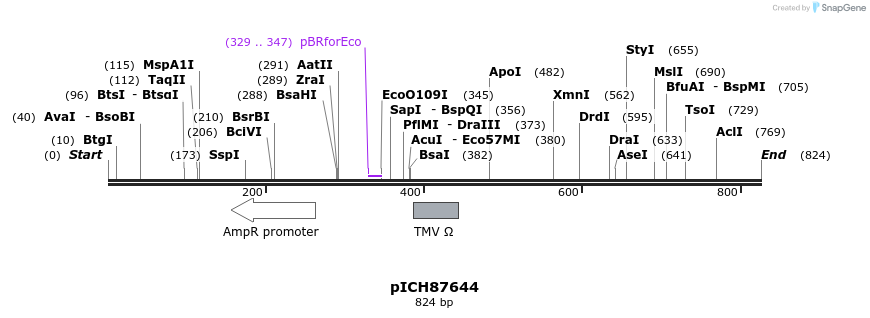 80696_map