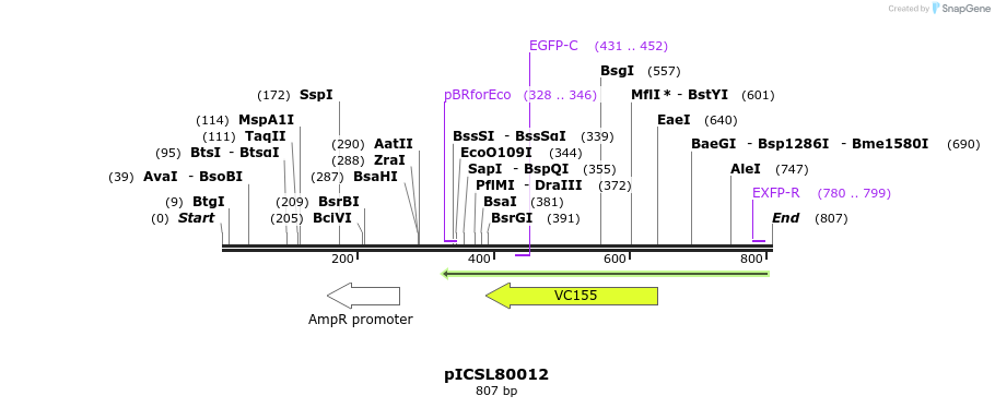 80699_map