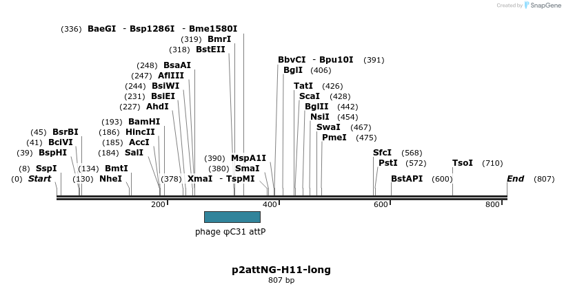 80700_map