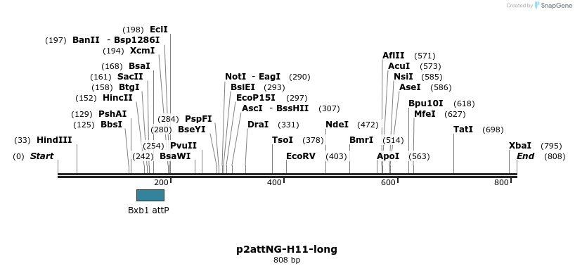 80701_map