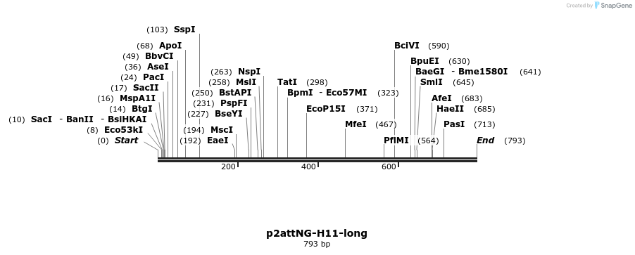 80704_map