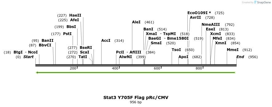 80707_map