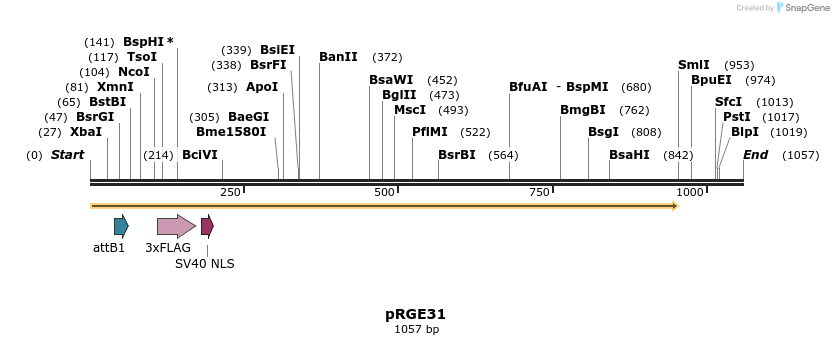 80709_map